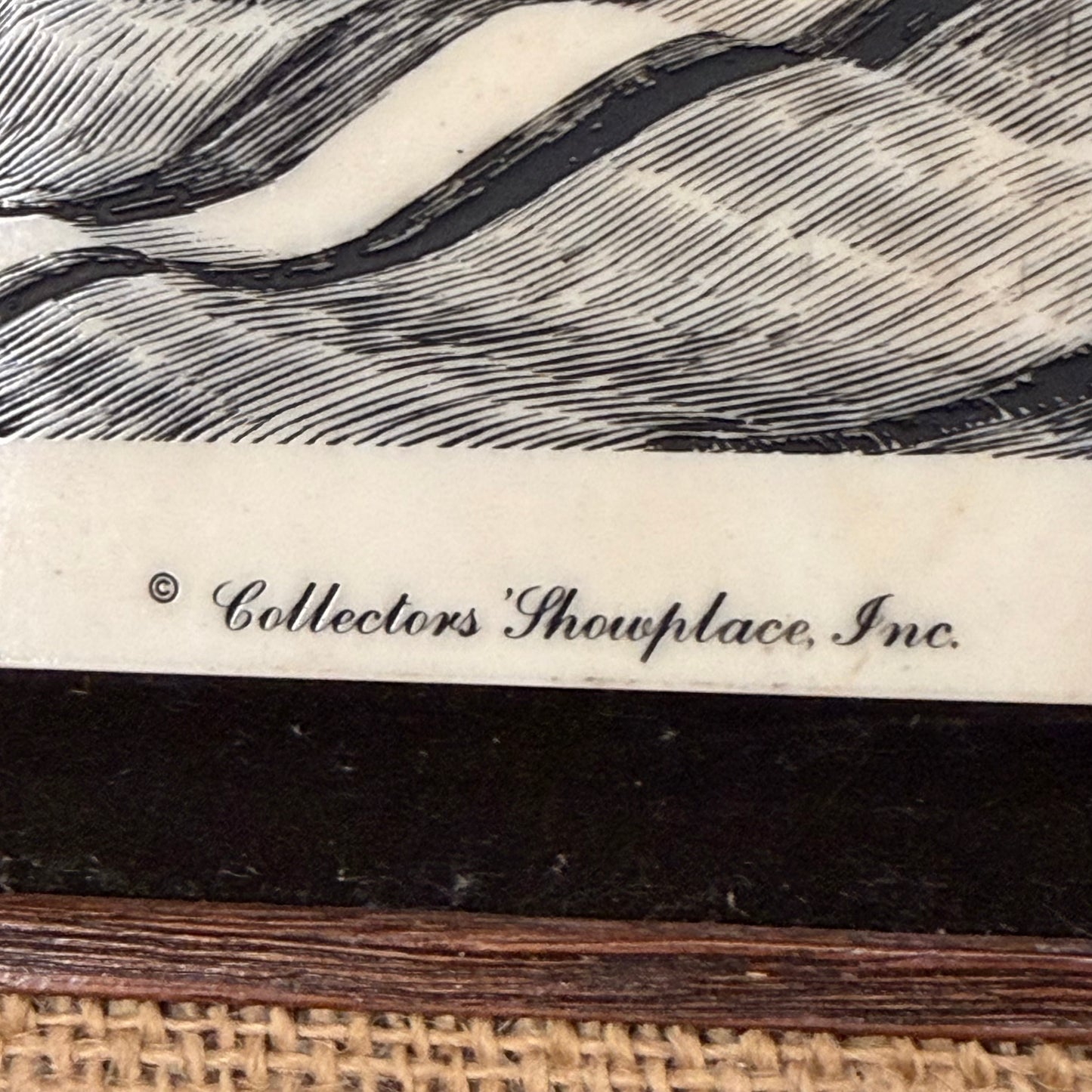 Close-up of a decorative item with wicker base, textured surface, and 'Collectors' Showplace, Inc.' branding.