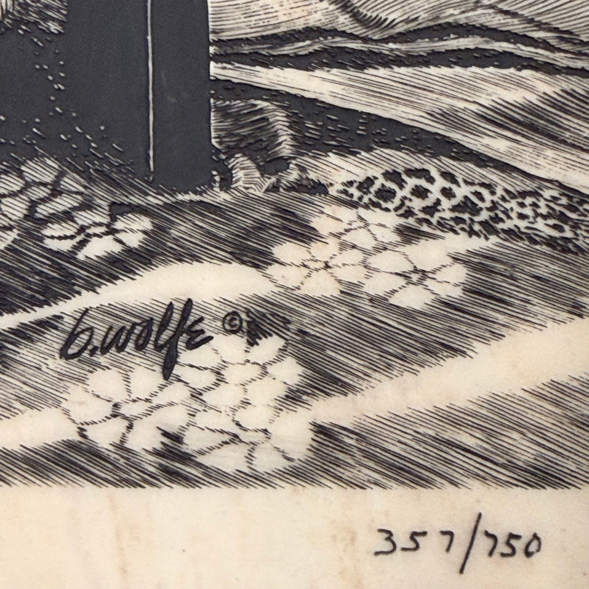 Close-up of a black and white textured print with a signature and edition number.