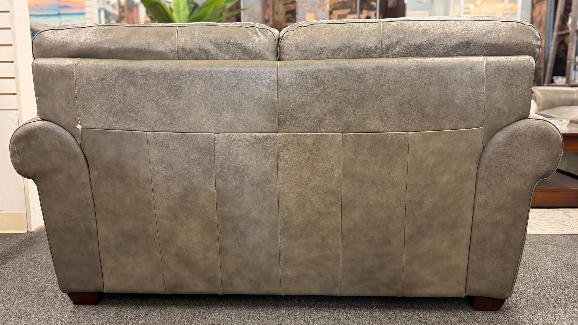 Gray leather sofa in a room with a window and plants.