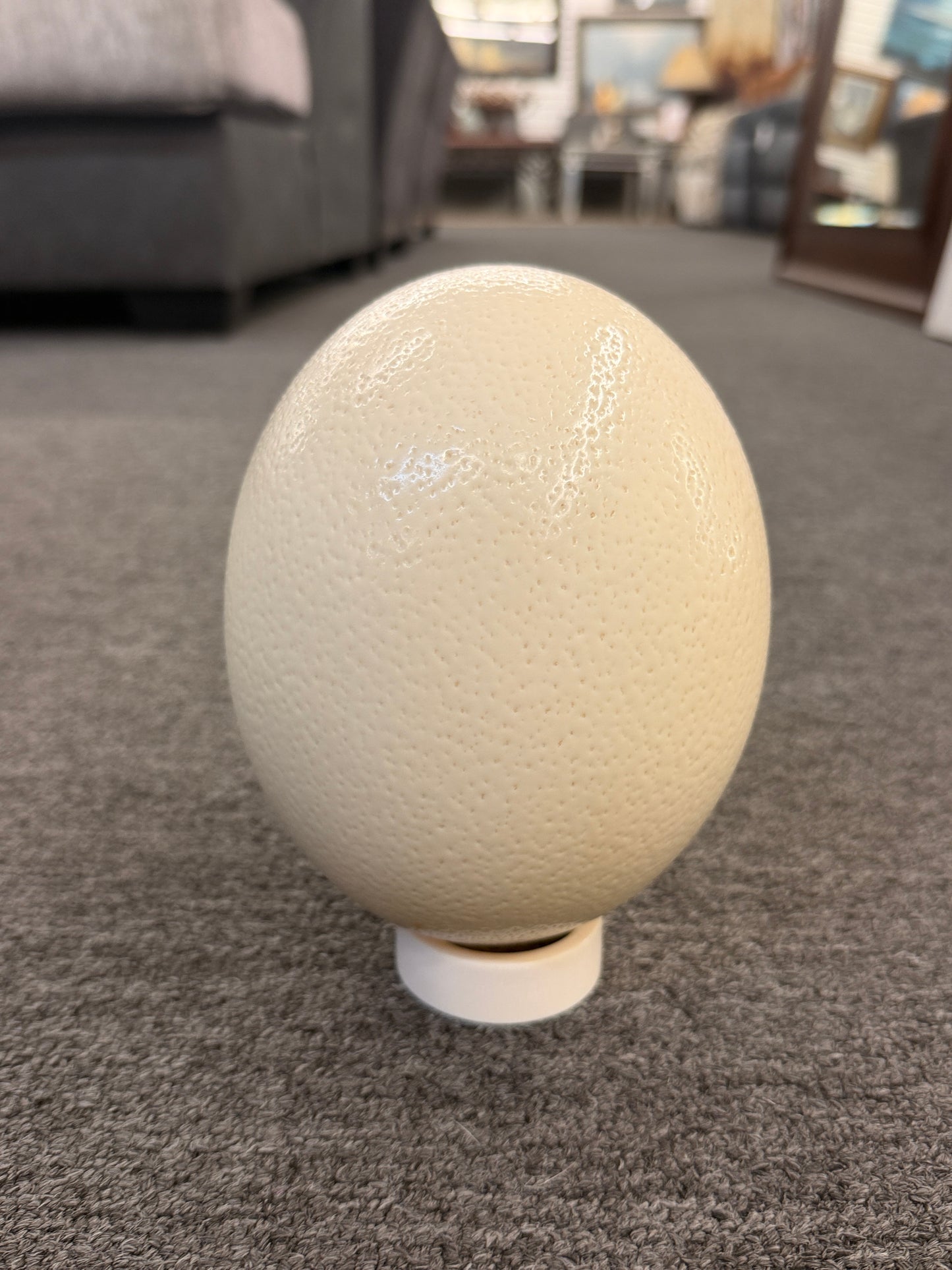 A hollowed genuine ostrich egg shell featuring an intricately carved relief of an African elephant with delicate openwork cutouts.